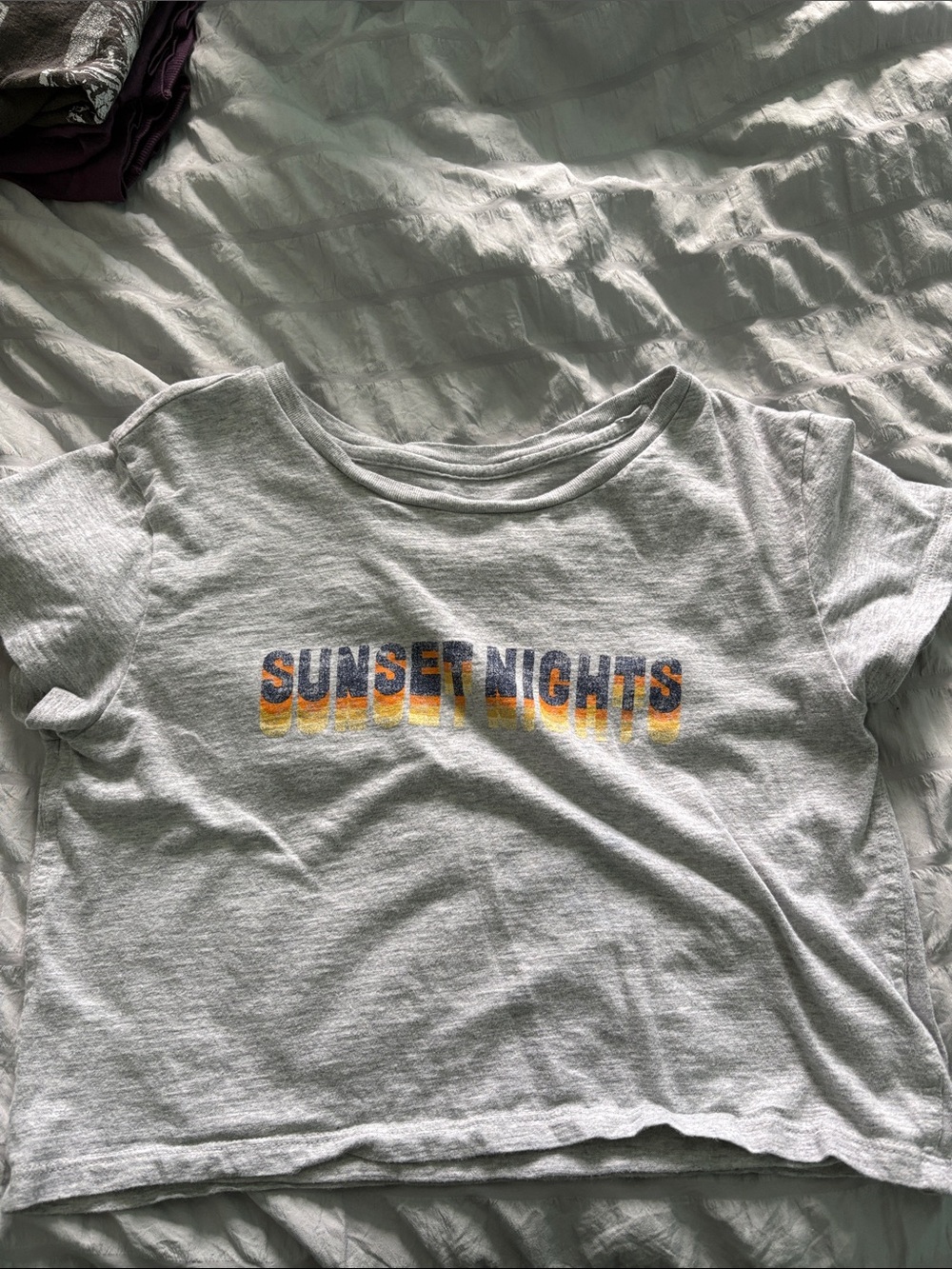 aerie Light Gray Crop Top with Sunset Nights Graphic